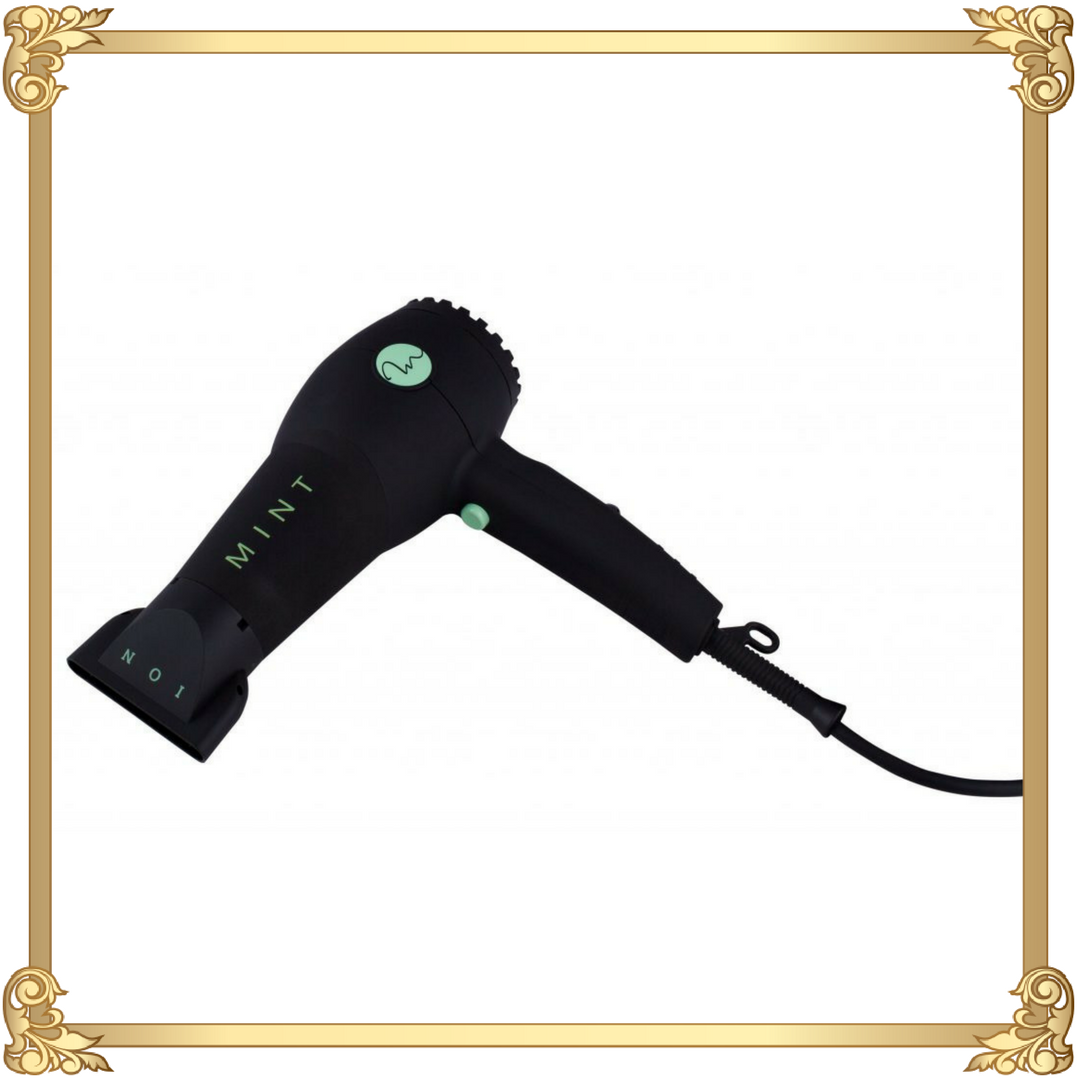 Mint MVK30 Blow Dryer