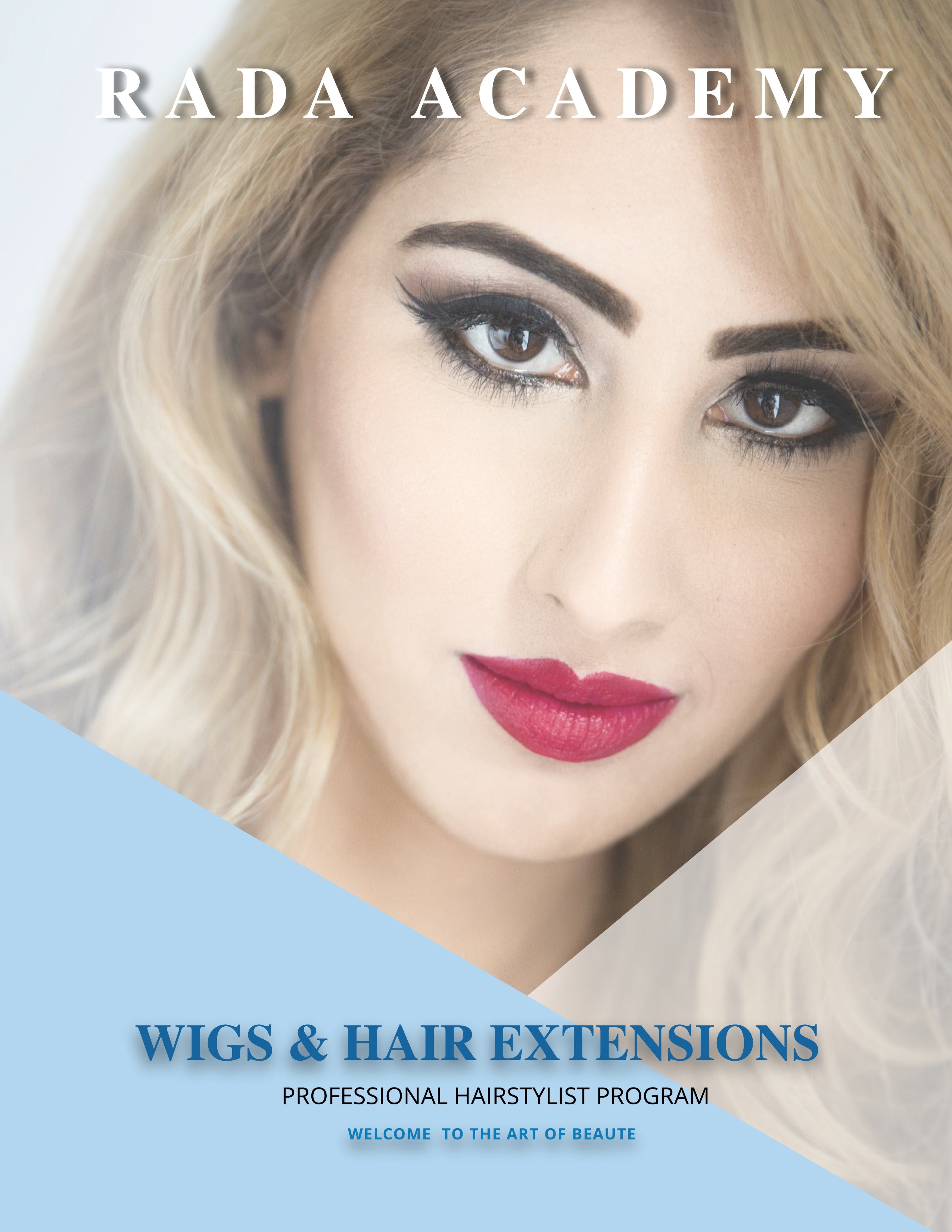 1208 Professional Wigs Hair Extensions Program Salon Picasso Academy